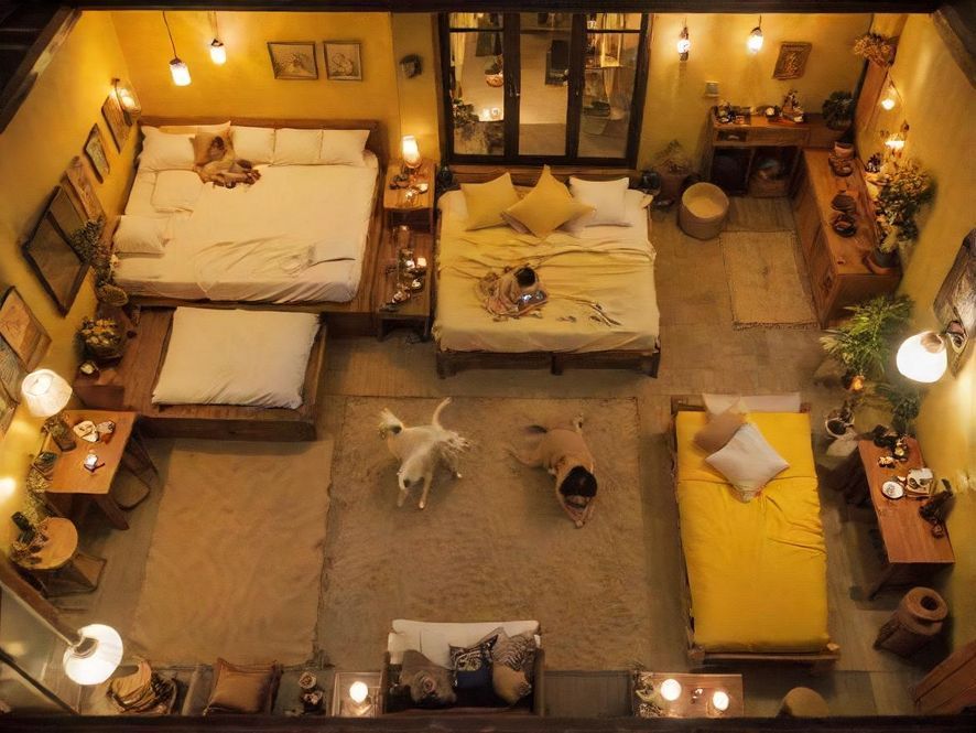 犬马之家休闲空间一角，温馨雅致的环境令人放松